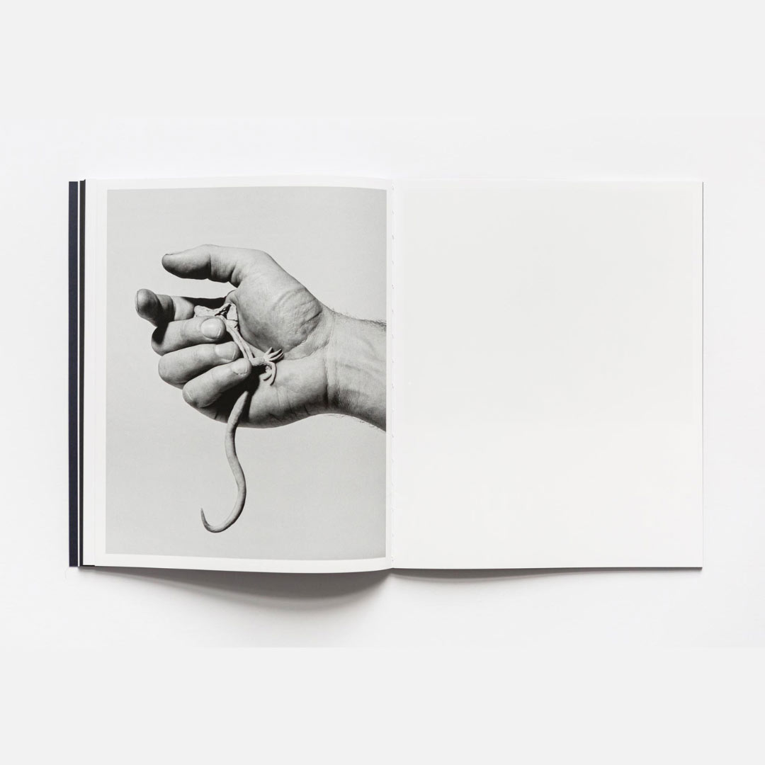 Diachronicles di Giulia Parlato edito da Witty Books