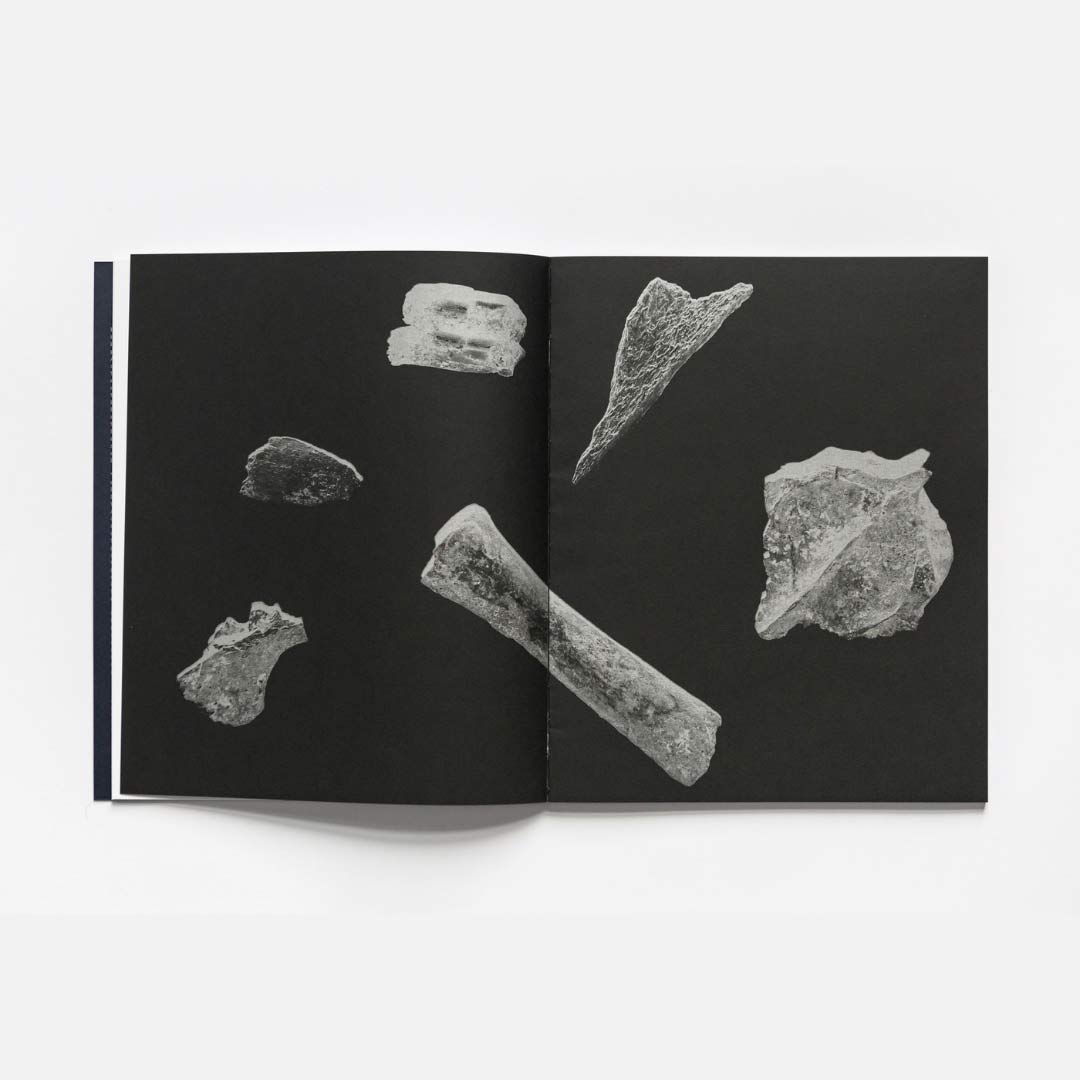 Diachronicles di Giulia Parlato edito da Witty Books