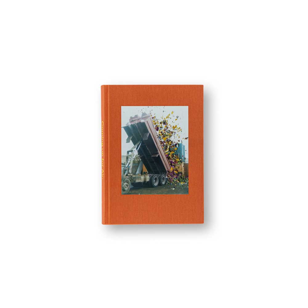 Coming Up for air Stephen Gill A Retrospective Catalogue 2021