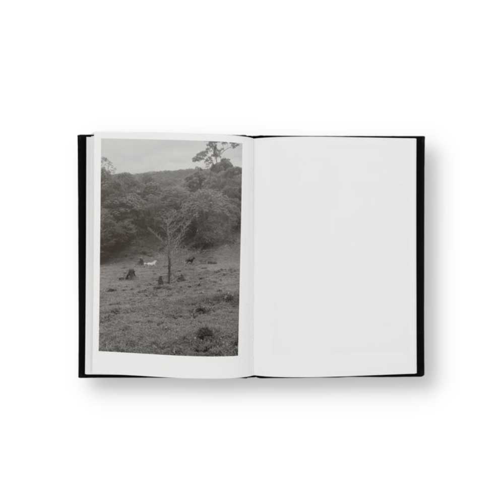 Ritorni a Beirut Back to Beirut Gabriele Basilico
