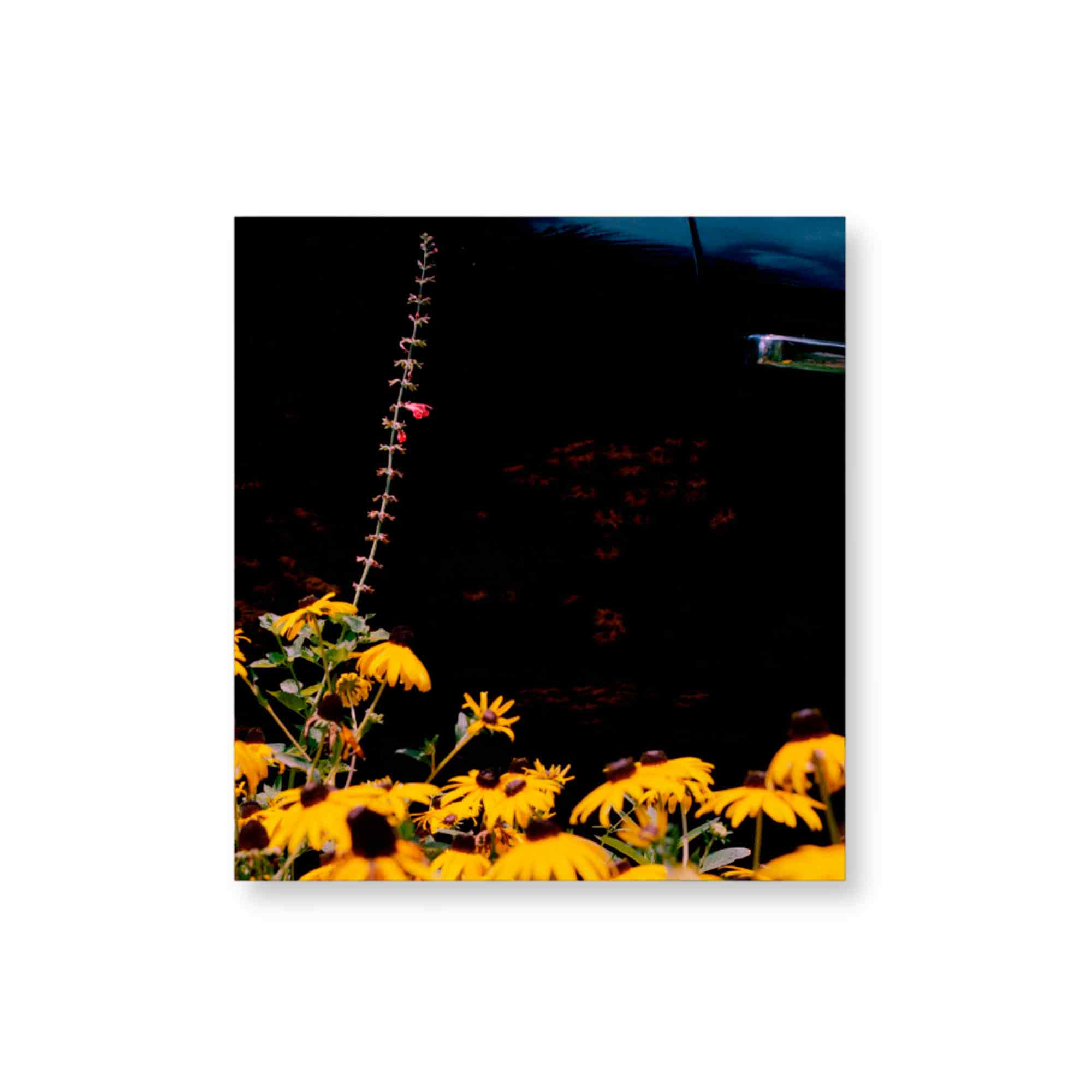 Mystery street di Vasantha Yogananthan edito da Chose Commune