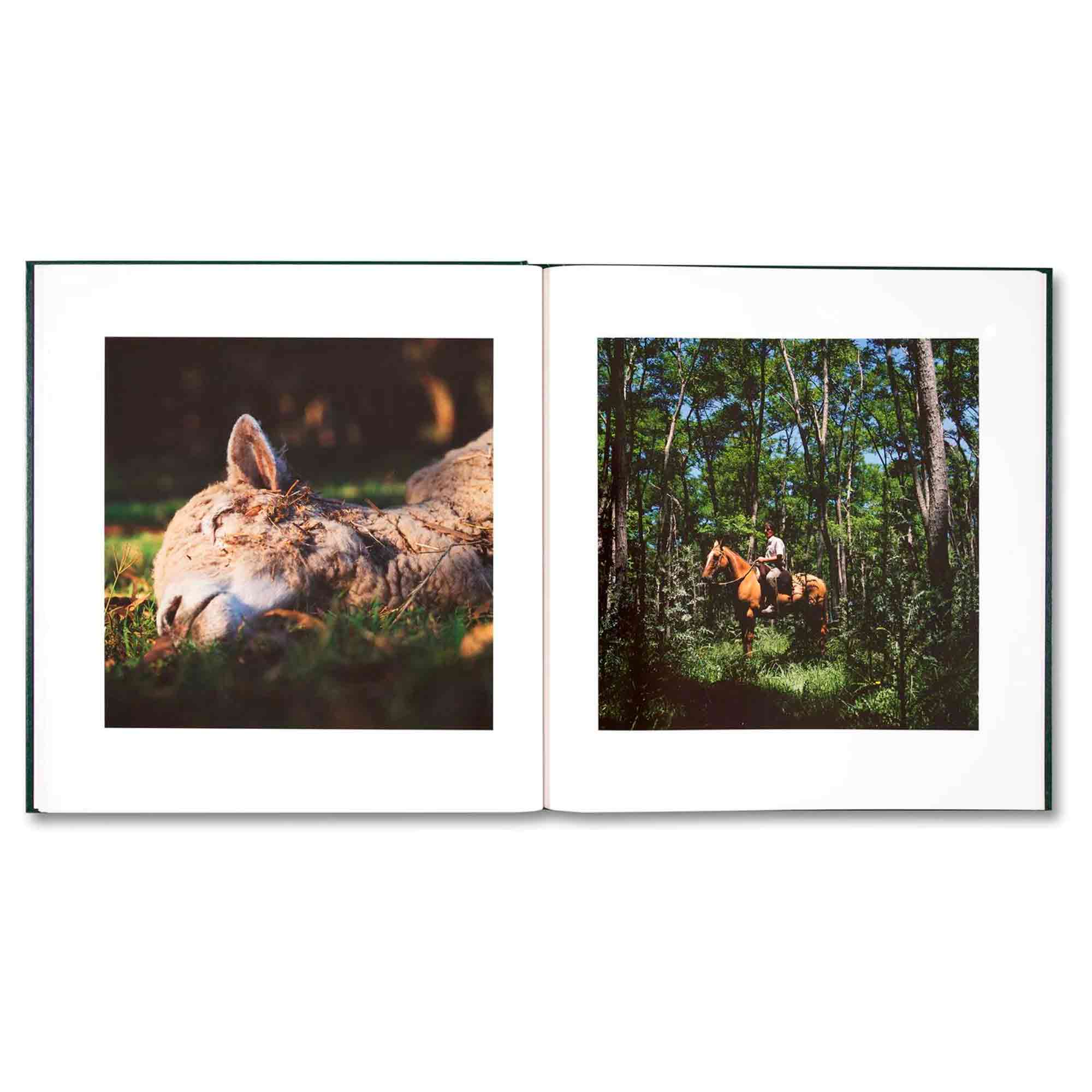 On the sixth day di Alessandra Sanguinetti pubblicato da Mack nel 2023