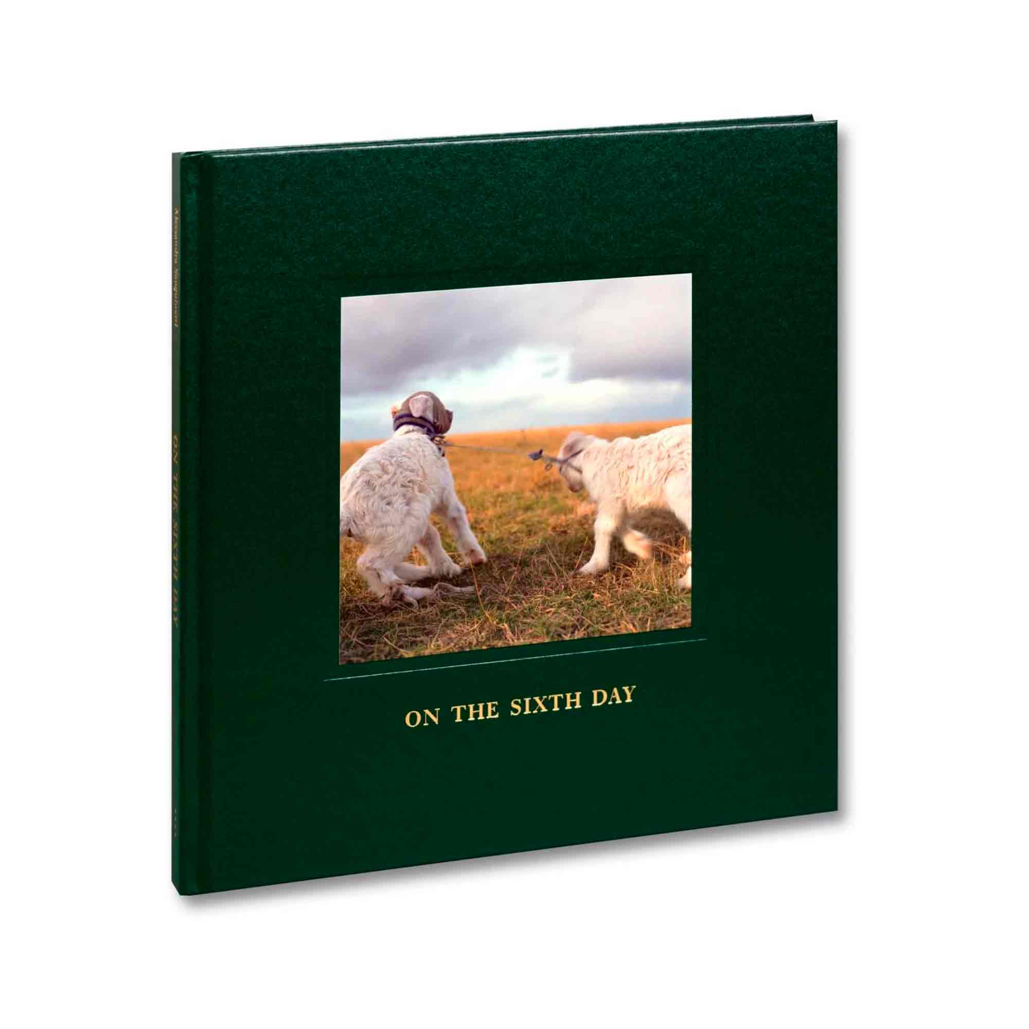On the sixth day di Alessandra Sanguinetti pubblicato da Mack nel 2023