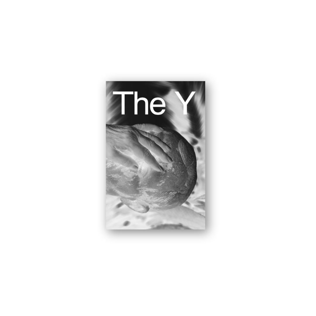 The Y di Alba Zari pubblicato da Witty Books