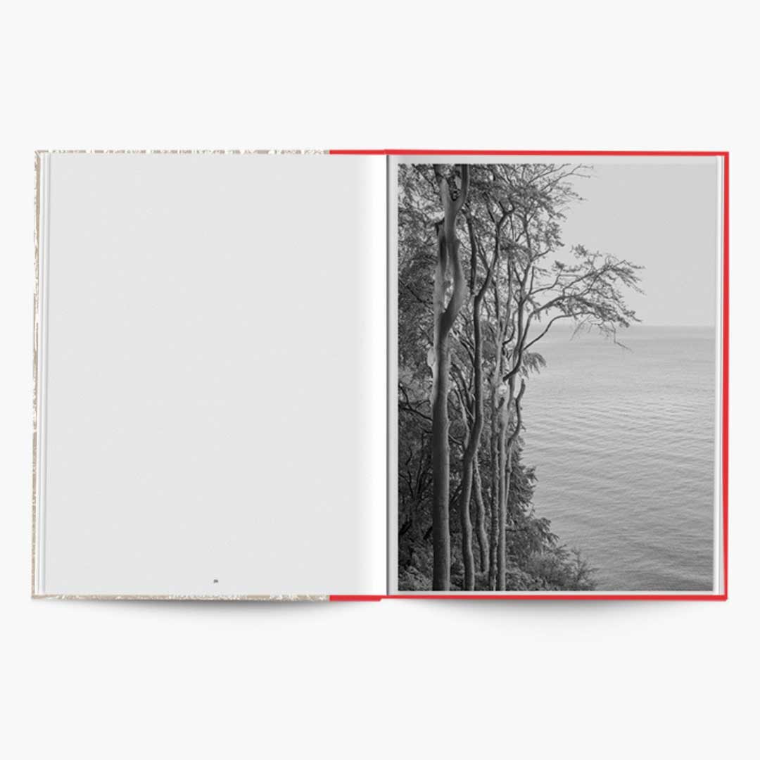 Graubaum und Himmelmeer di Loredana Nemes pubblicato da Hartmann
