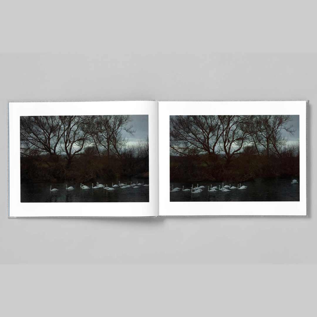 Four winters di Jem Southam pubblicato da Stanley Barker