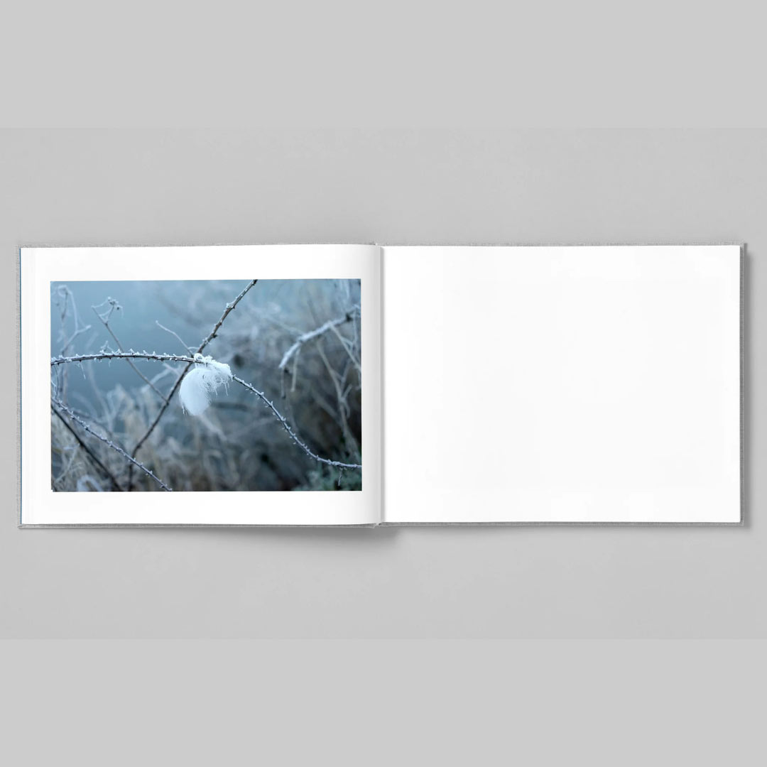 Four winters di Jem Southam pubblicato da Stanley Barker