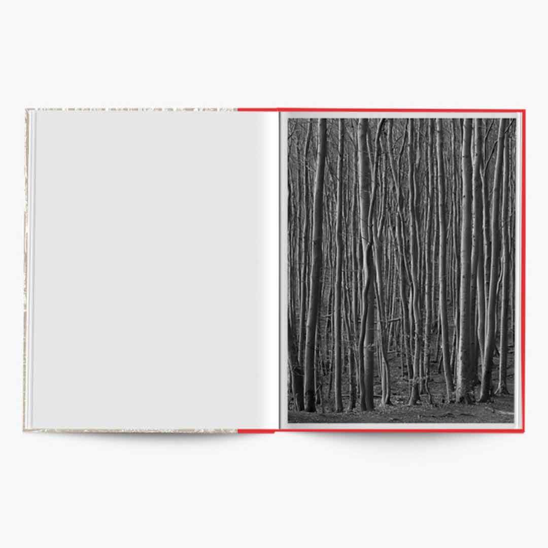 Graubaum und Himmelmeer di Loredana Nemes pubblicato da Hartmann