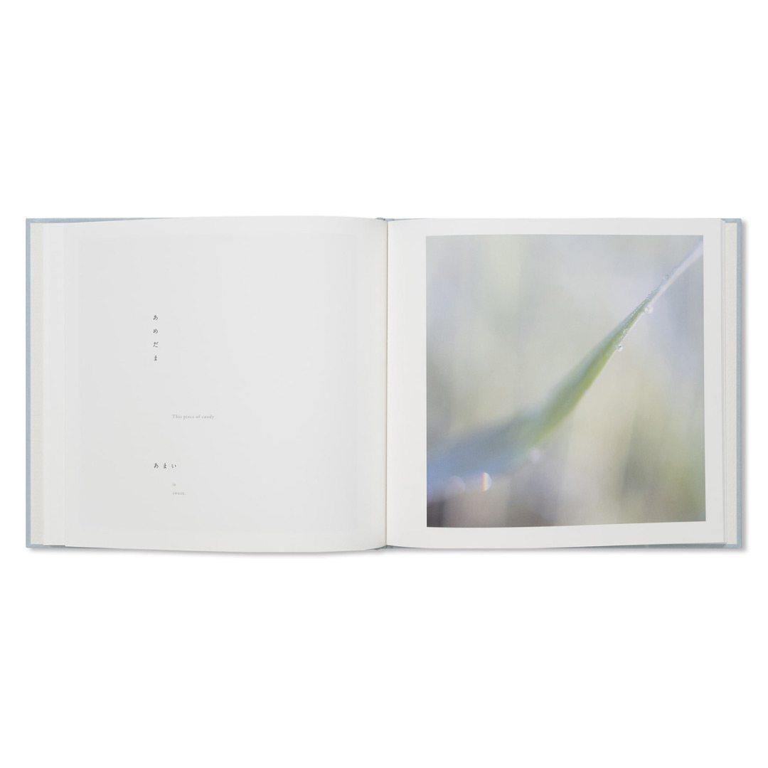 here and now di rinko kawauchi edito da torch press