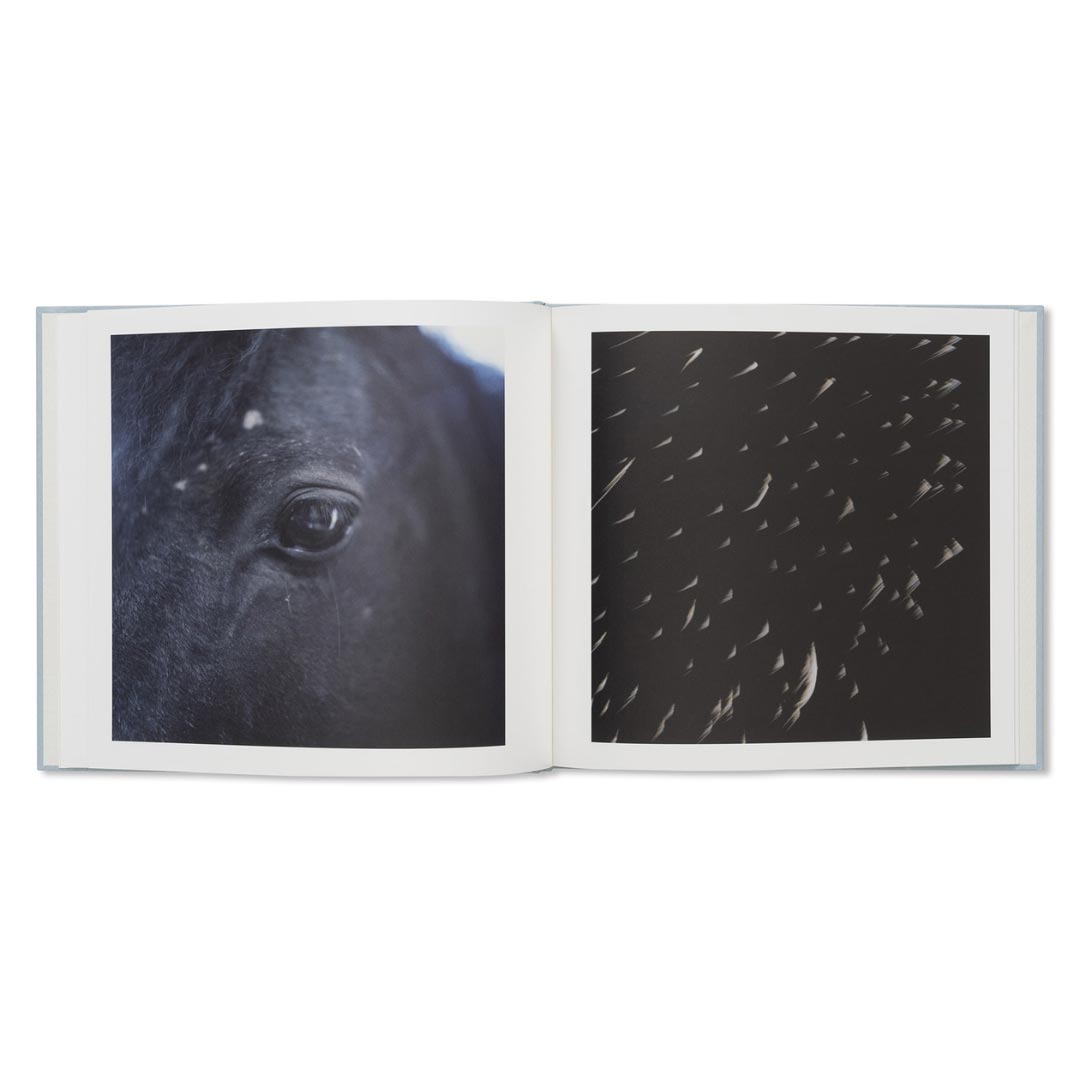 here and now di rinko kawauchi edito da torch press