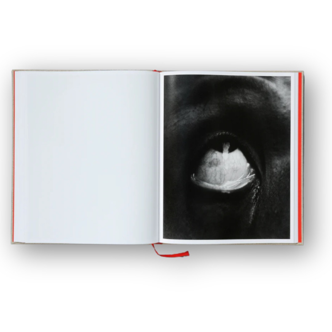 LIBRI ZAZIE - 5