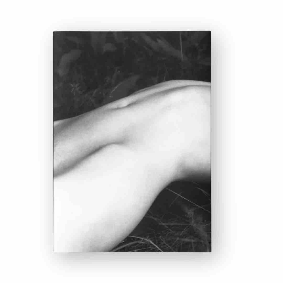 Elv | Massimo Leardini, 2020