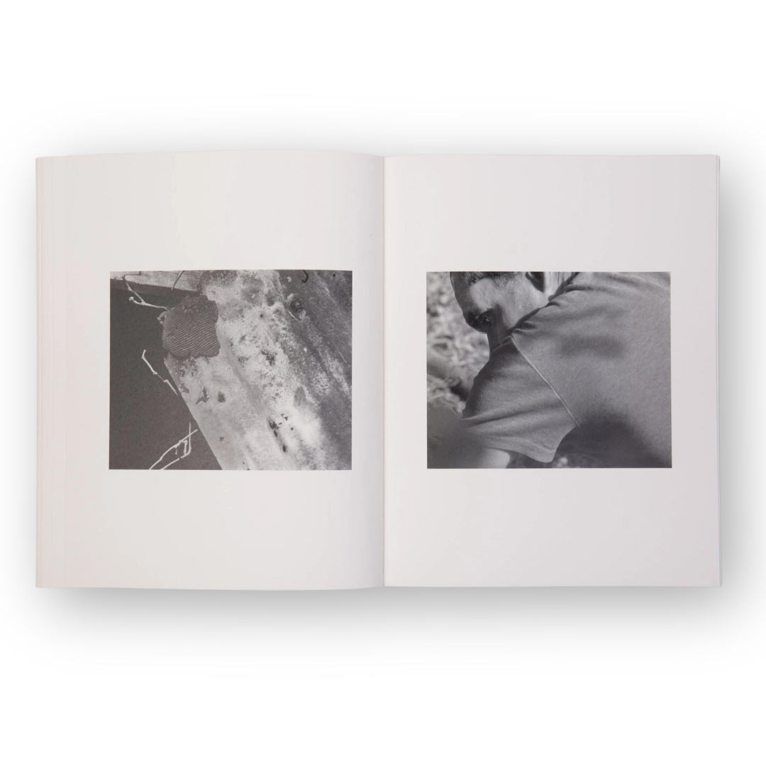 the attachment theory di jacopo papucci edito da skinnerboox
