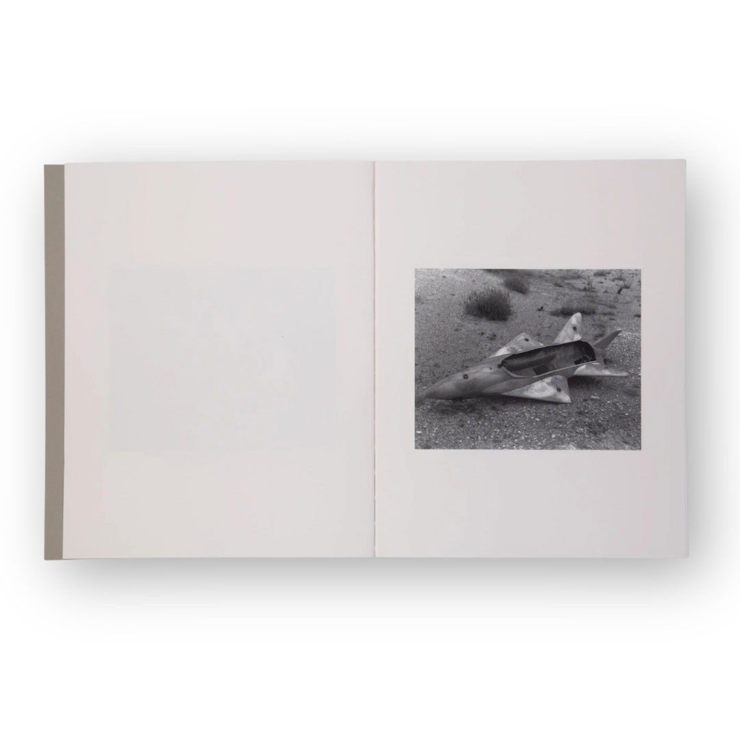 the attachment theory di jacopo papucci edito da skinnerboox