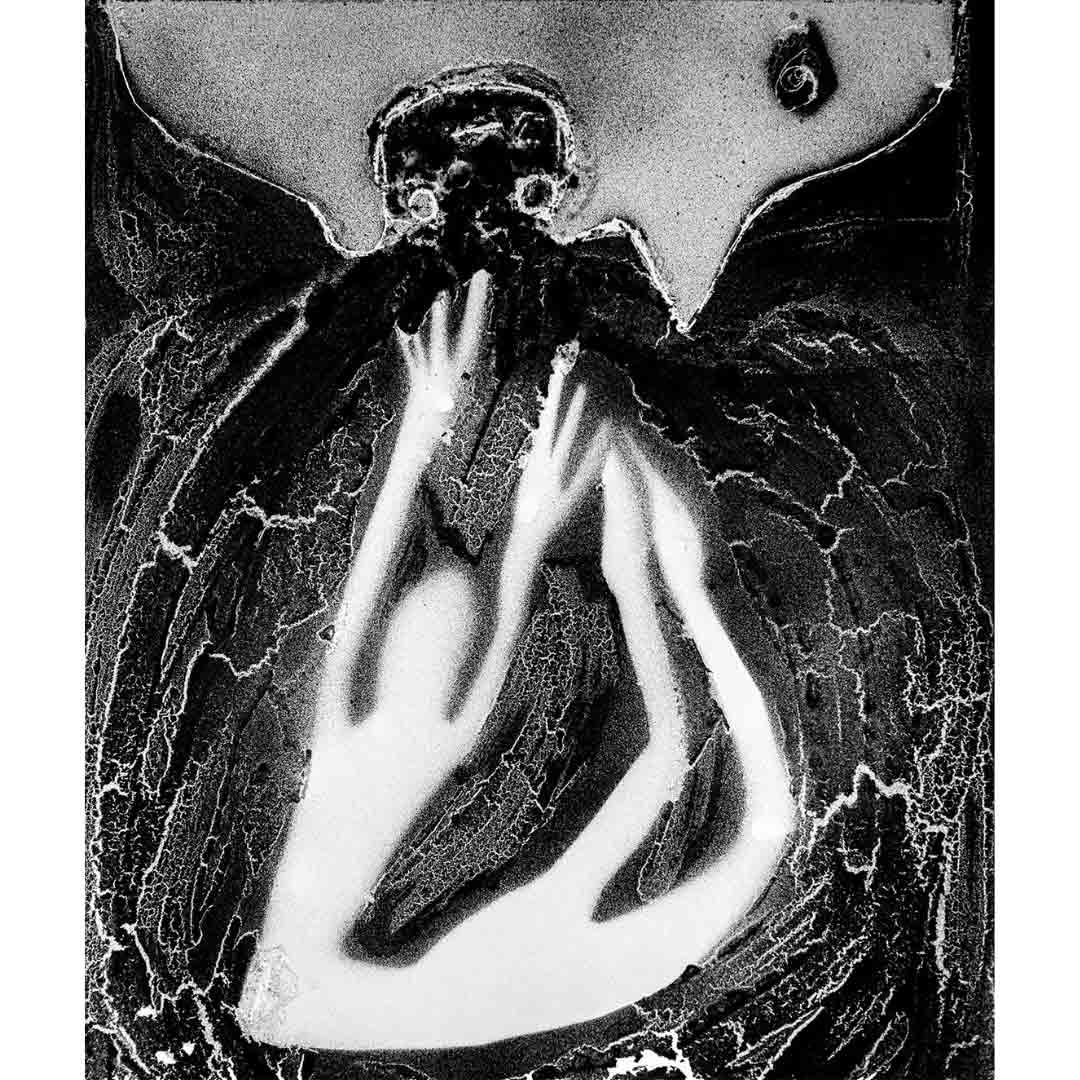 Inferno di dante alighieri e roger ballen edito da postcart