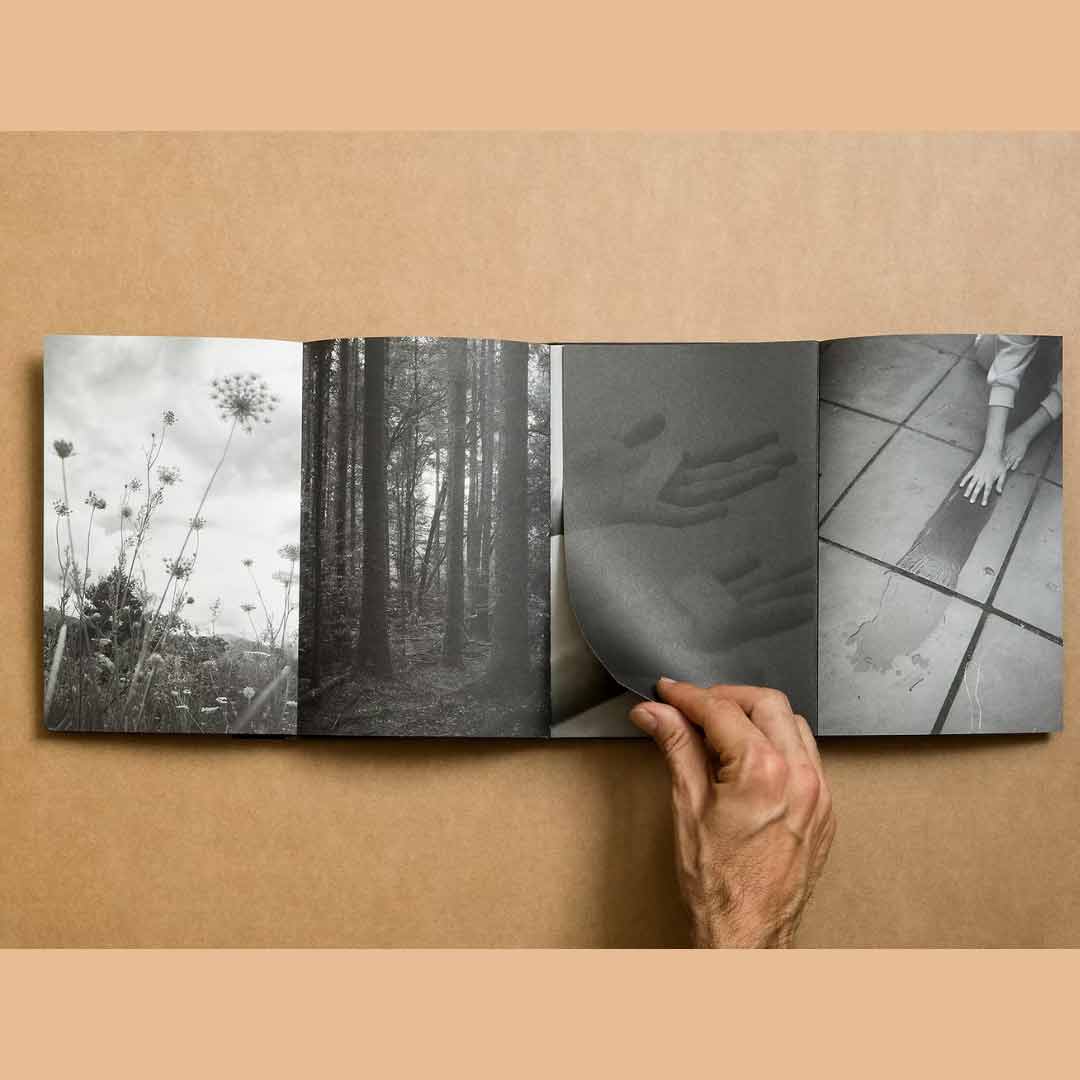 Summer's Almost Gone di Alex Llovet pubblicato da Ediciones Posibles